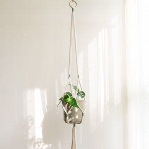 Plant Hanger Khipu Connatural